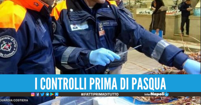 Blitz della Guardia Costiera nel Cilento, sequestrati 90 chili di cozze e pesce