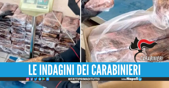 Cocaina sequestrata a Fratta, ipotesi pista camorristica: droga destinata a più clan