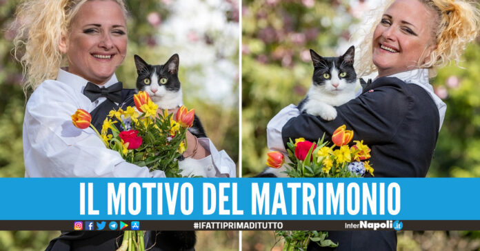 Sposa il suo gatto al parco, il matrimonio di Deborah fa il giro del mondo: 