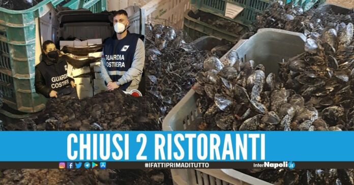 Sequestrati 1000 kg di cozze al mercato ittico di Mugnano. Alla vigilia delle festività di Pasqua, si è conclusa l’operazione regionale complessa
