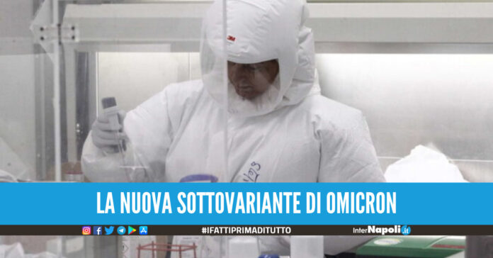 Omicron, sequenziata per la prima volta una nuova sottovariante: la scoperta in Italia