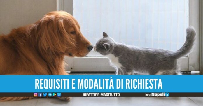 Bonus animali domestici da 550 euro, si può richiedere anche senza l'Isee