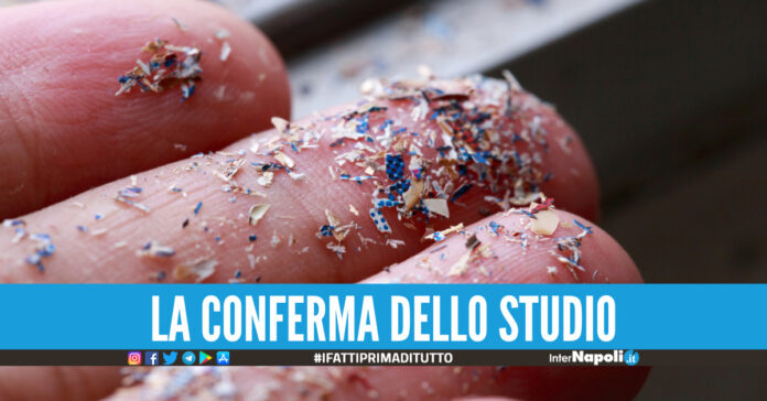 Microplastiche nel sangue, l'inquinamento arriva nel corpo umano: trovate le prime tracce
