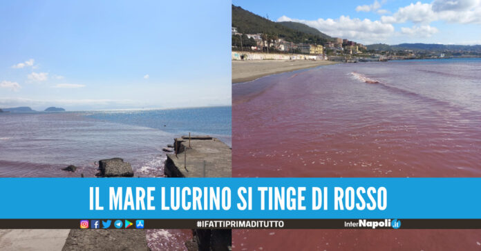 mare lucrino