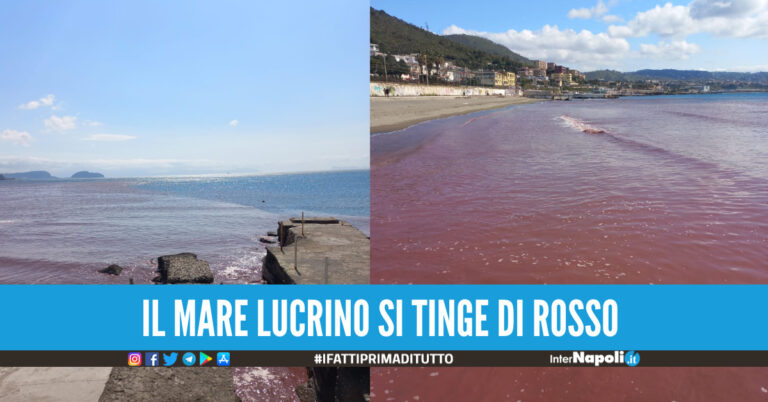 Anche il mare Lucrino si colora di rosso, colpa dell’alga rossa e delle piogge 