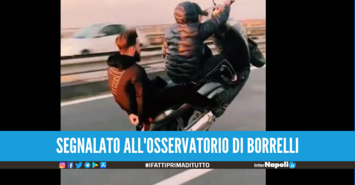 tiktok borrelli