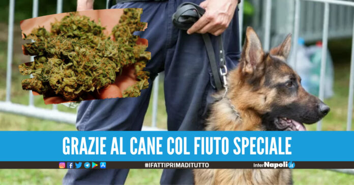 Foto di repertorio