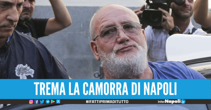 Luigi Cimmino