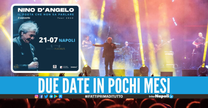 Nino D'Angelo in Concerto