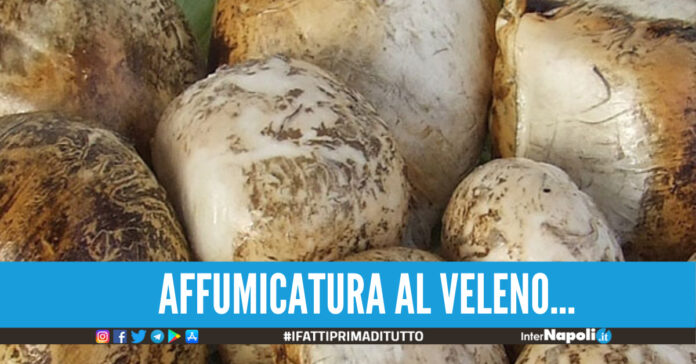 Provole affumicate con vernici e materiale tossico, nei guai commerciante in provincia di Napoli