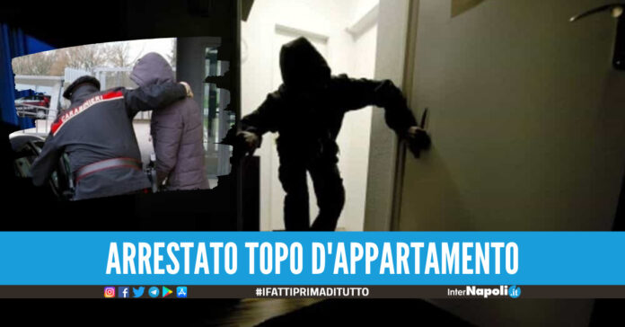 Topo d'appartamento