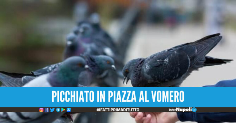 Chiede a clochard di non dar da mangiare ai piccioni, picchiato in piazza a Napoli