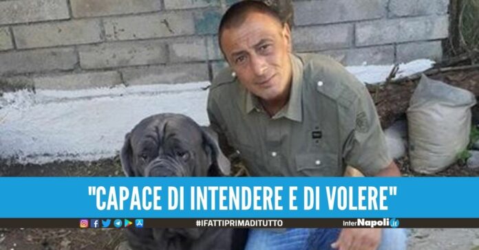 Rubò il gratta e vinci da 500mila euro a Napoli, tabaccaio verso il processo