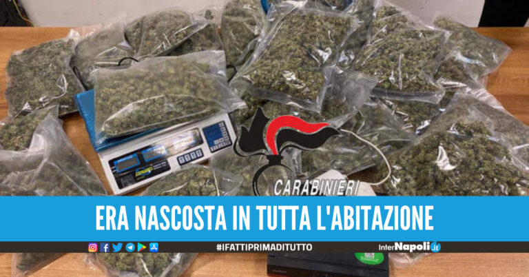 ‘Droga shop’ in casa a Torre Annunziata, 34enne beccato con oltre 5 kg