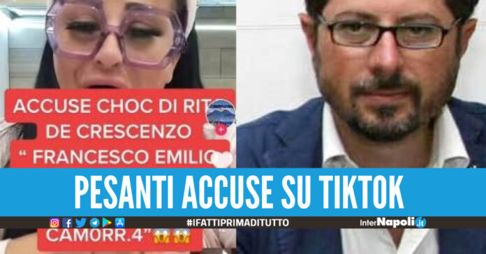 Rita De Crescenzo contro Francesco Emilio Borrelli