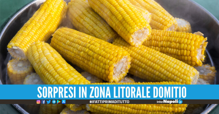 Multa da 10euro a 2 venditori abusivi di pannocchie, sono di Sant'Antimo e Casandrino