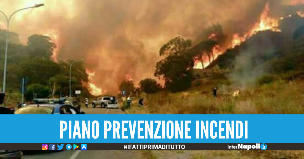 Allarme incendi boschivi in Campania, scatta l'allerta grave pericolo