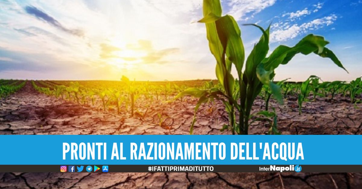 Allarme siccità in Italia, il Governo pronto a dichiarare lo stato d'emergenza