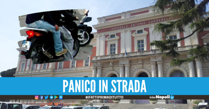 Cardarelli, foto di repertorio