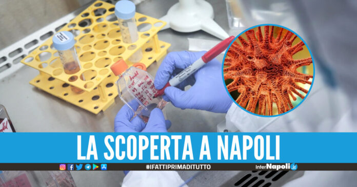 Covid, trovato a Napoli il primo caso di variante portoghese: positiva ragazza di 23 anni