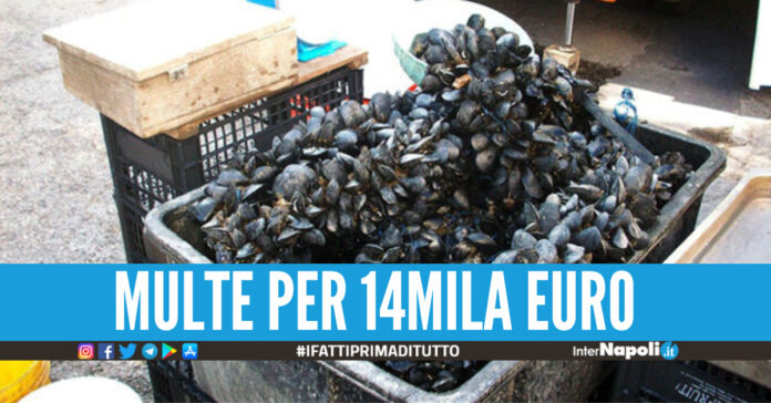 cozze supermercati