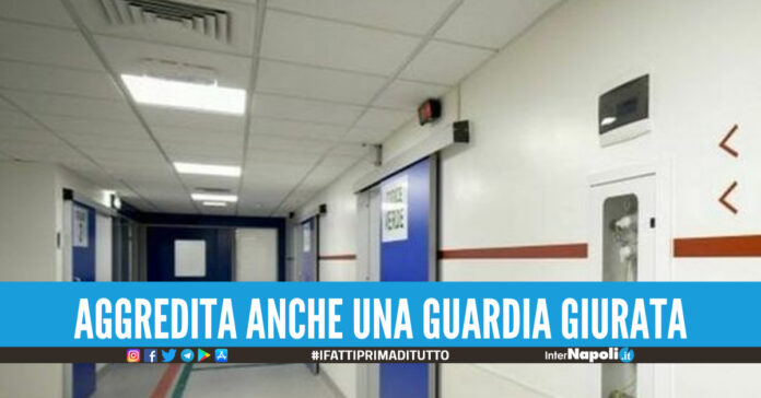 Violenza all'Ospedale del Mare, paziente arriva ubriaco e picchia l'infermiere