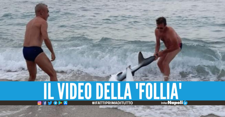 Tirano uno squalo fuori dal mare per farsi un selfie, il video scatena la rabbia degli animalisti