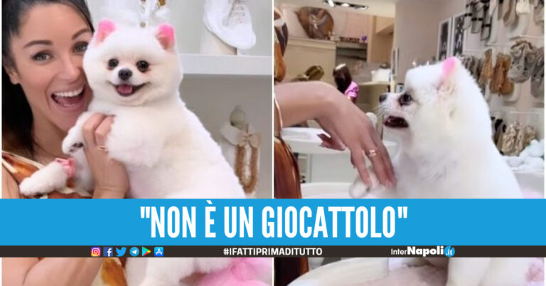 Delia Duran insieme al cagnolino
