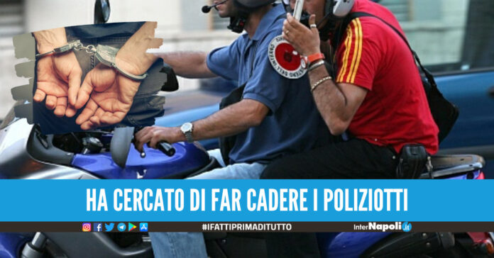 Falchi, foto di repertorio