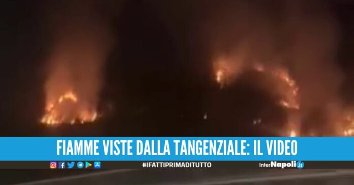 Il Monte Barbaro brucia da ore a Pozzuoli, fumo visibile da chilometri