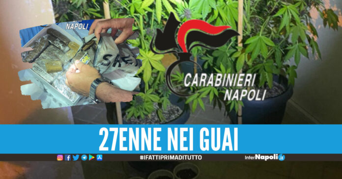 La droga sequestrata dai carabinieri