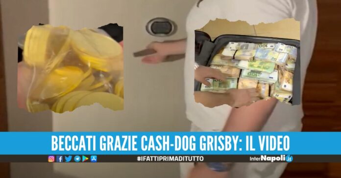 Marito e moglie nascondevano diamanti e lingotti d'oro nel caveau un tesoro da 5 milioni