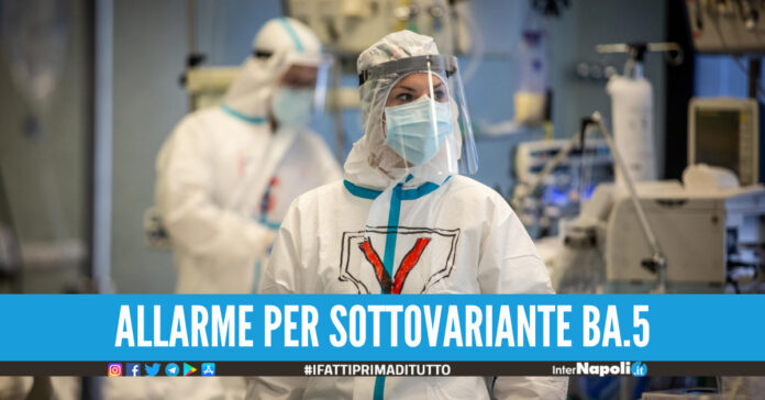 sottovariante BA.5