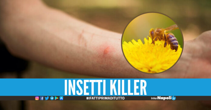 puntura d'insetto