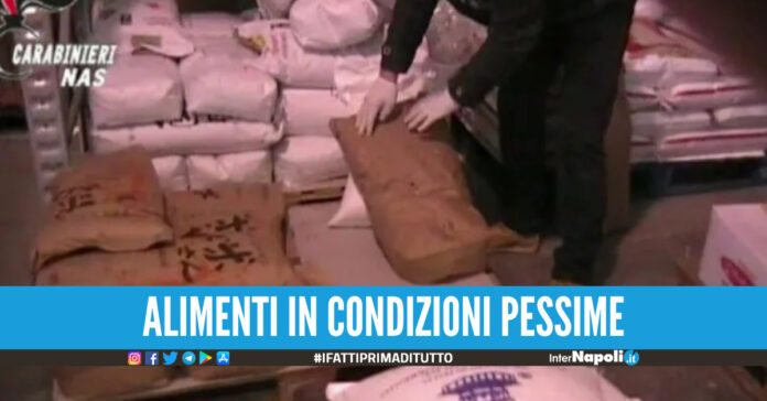 Cibo rosicato da topi ed escrementi su scaffali e pavimenti, chiuso minimarket a Salerno