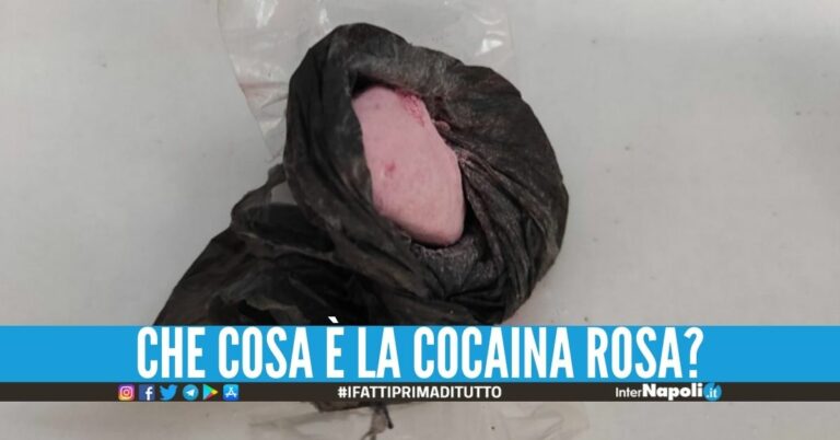 Bloccato carico di cocaina rosa dal Sudamerica, colpo da 300mila euro
