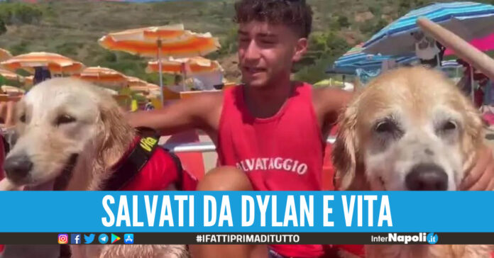 cani salvataggio pedalò