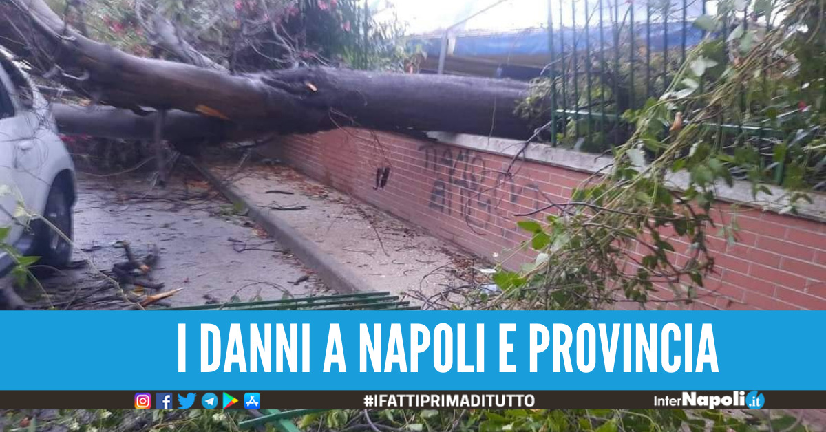 Tifone su Napoli e provincia, danni ad abitazioni e negozi foto e video