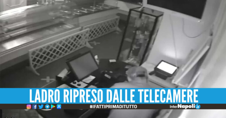 Il ladro ripreso dalle telecamere