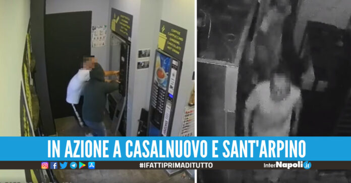 Ladri in azione, screen video Francesco Emilio Borrelli