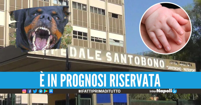 Ospedale Santobono di Napoli, foto di repertorio