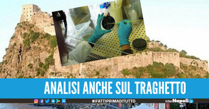Turista morto per legionella, era stato in vacanza ad Ischia analisi su hotel e traghetto