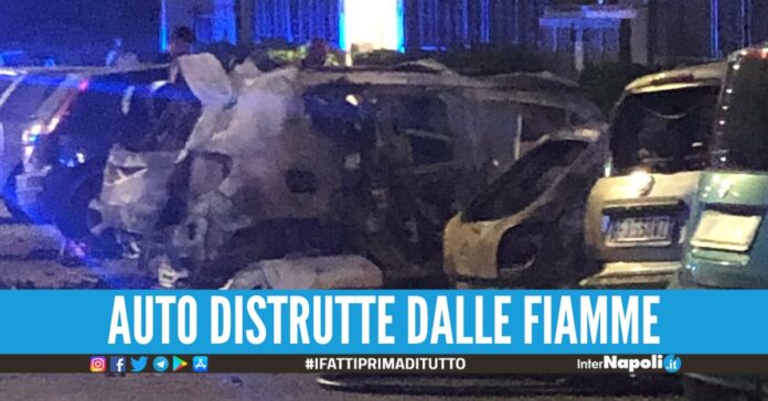 WhatsApp Image 2022-07-23 at 09.52.56