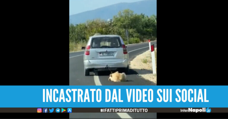 Cane trascinato sull’asfalto da un’auto,  il video fa il giro della rete: arrestato l’autore