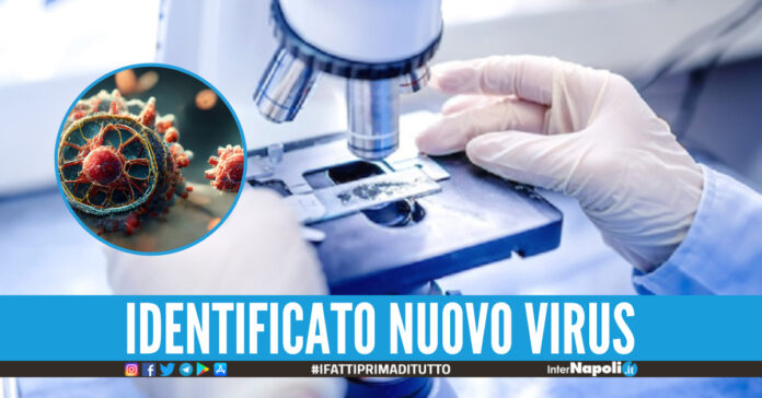 virus