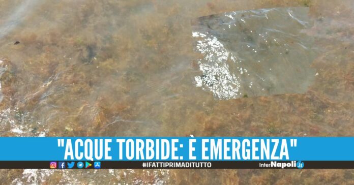 Alghe rosse nel mare del Litorale Domizio, la denuncia dell'associazione Baia Felix