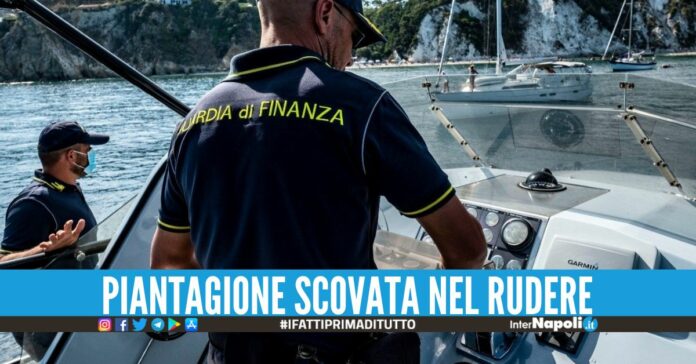 Spaccio tra Napoli e Ischia, arrestati allo sbarco dei traghetti