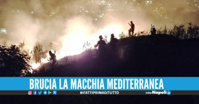 Domate le fiamme ad Ischia, canadair in volo sul monte Epomeo