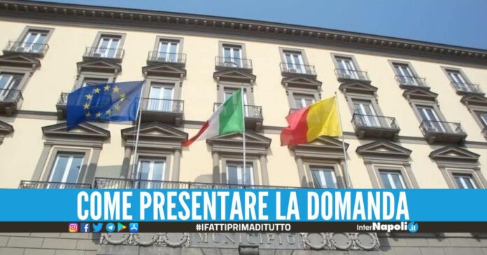 Lavoro per 15 giovani al Comune di Napoli, 440 euro al mese per 2 progetti