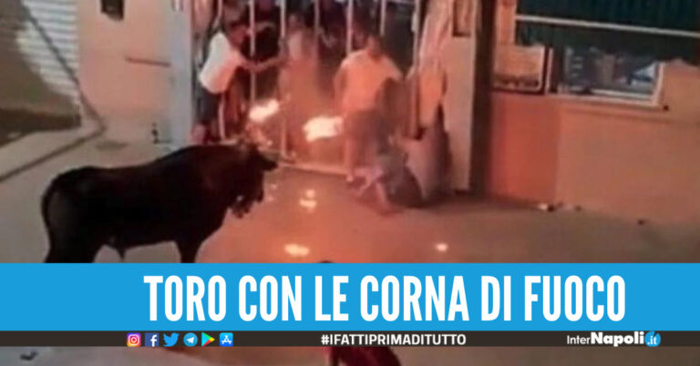 [Video]. Corrida finisce in tragedia, toro con le corna infuocate uccide 24enne
